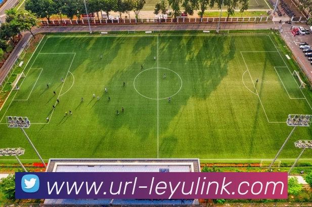 多媒体互动体验