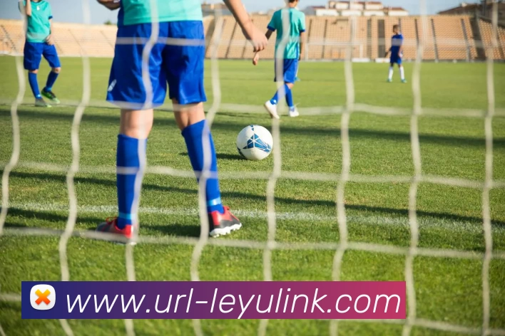 乐鱼体育APP 体育赛事宣传图